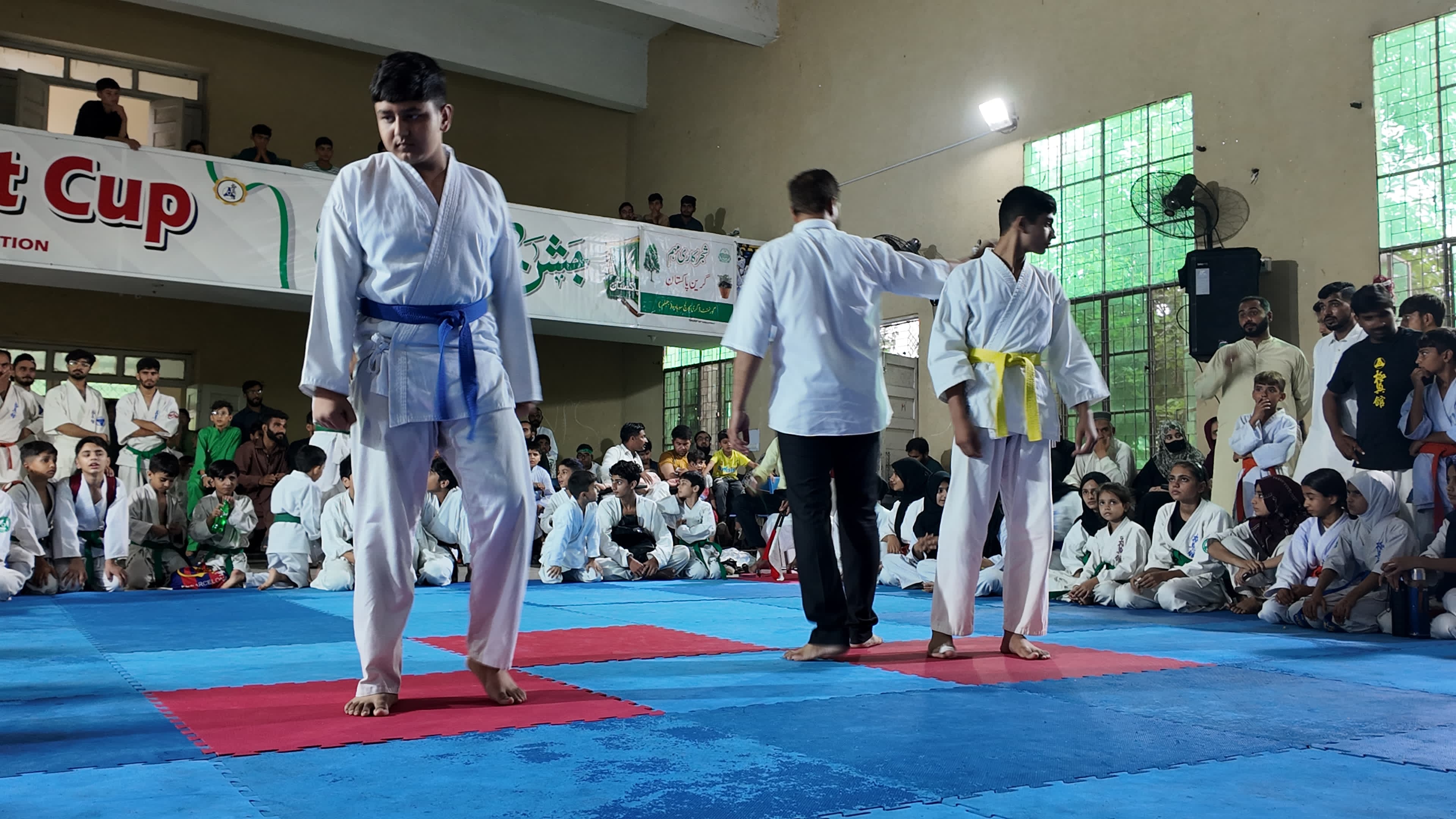 🥋 Action Shot 11